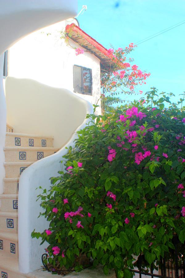 Casa Katarina Ξενοδοχείο Πλάγια Ντελ Κάρμεν Εξωτερικό φωτογραφία